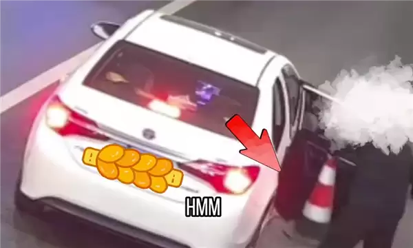 啥便宜都占 男子高速上停车顺走锥桶：只为在小区占车位用