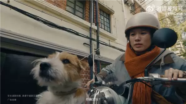 苹果2026新春大片《碰见你》上线 库克:iPhone 17 Pro拍摄 希望大家都喜欢