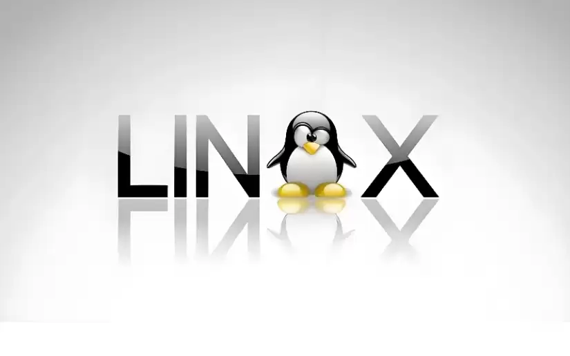 Linux内核确立托瓦兹接续机制应对老龄化挑战