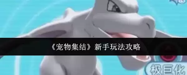 《宠物集结》新手玩法攻略