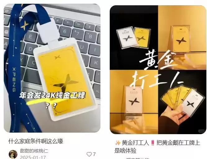 小鹏汽车2025年交付翻倍,2026年会再发黄金工牌