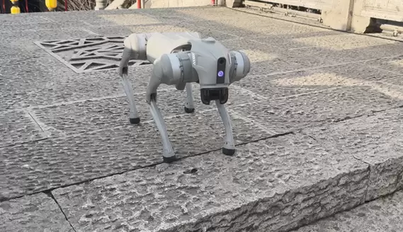 王兴兴谈宇树机器狗成全球销冠：大家认可度高 成本有优势