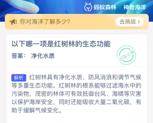 以下哪一项是红树林的生态功能