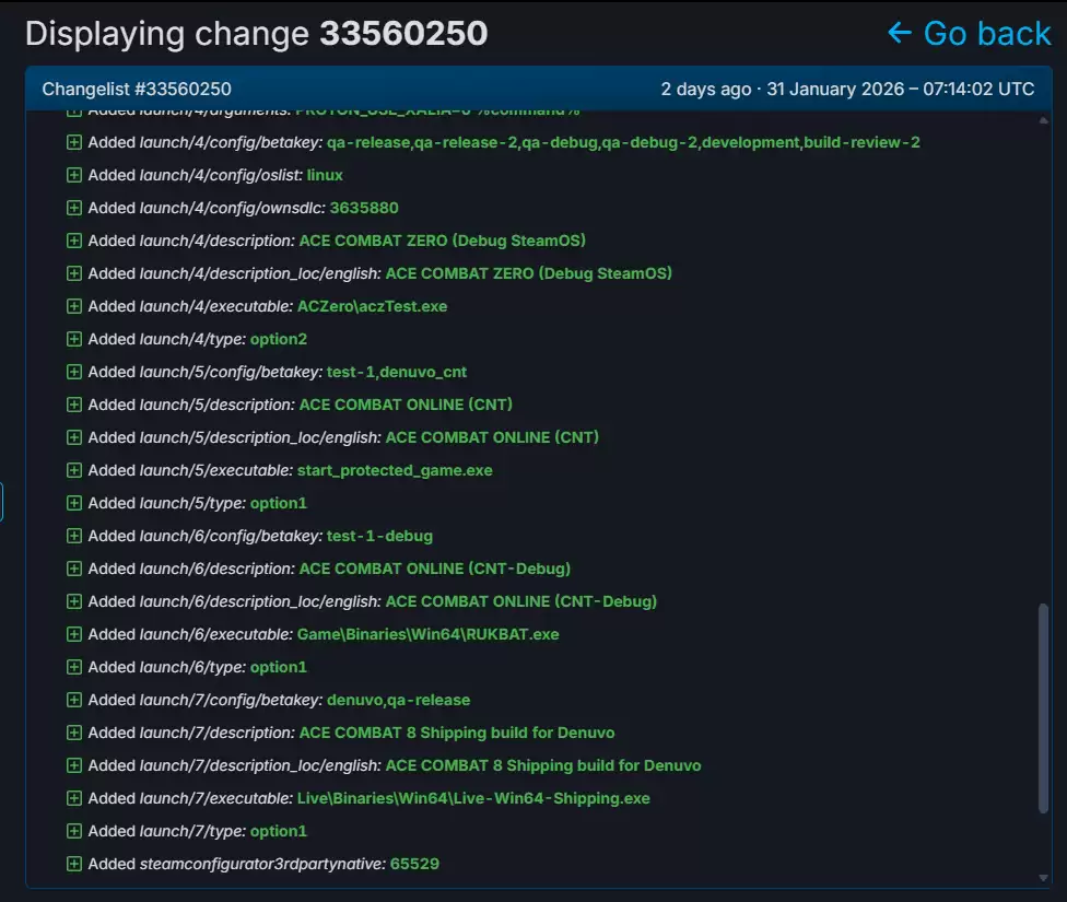 皇牌空战8：希冀之翼或采用D加密技术护航2026年多平台发售