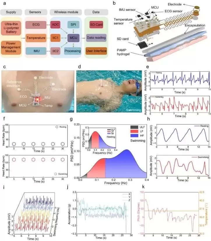浙大研发水下创可贴柔性电子贴片,突破水下生命体实时监测技术瓶颈