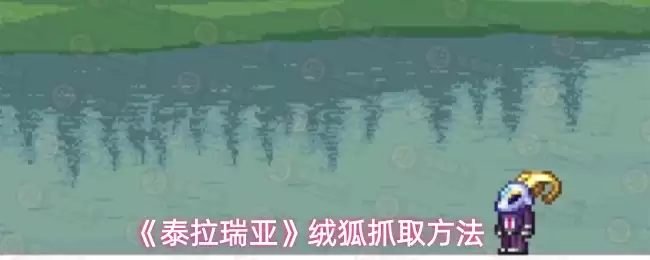 《泰拉瑞亚》绒狐抓取方法