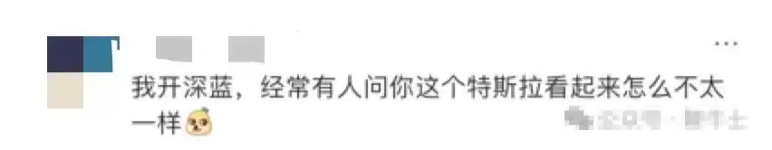 马斯克母亲晒偶遇特斯拉图片，网友：这是深蓝