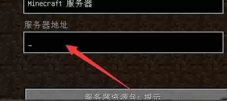 我的世界服务器ip地址怎么填