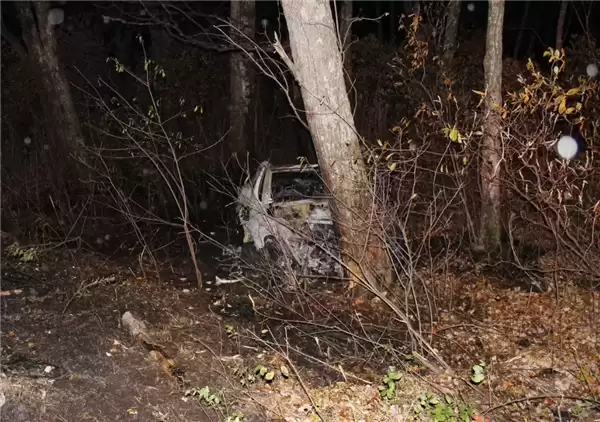 特斯拉Model Y车祸起火后车门打不开 20岁男子报警后身亡