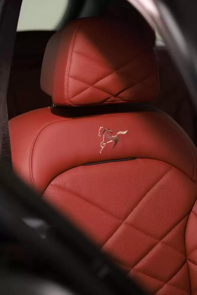 02BMW X5马年版刺绣标识