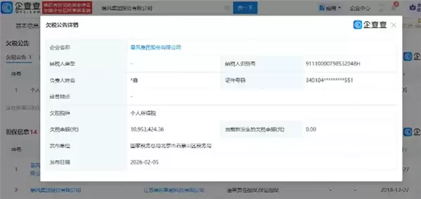 暴风集团欠税1095万再曝债务危机 未履行债务已超8亿