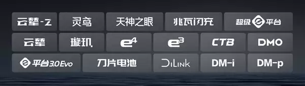 2025车企复购率榜单出炉：比亚迪车主复购率30.55%位居第一