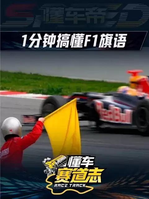 赛车旗语全解析：10种旗帜含义及全球统一安全指令