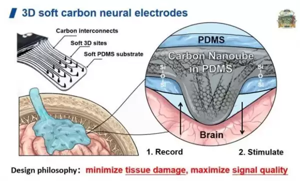 西工大研製三維碳基柔性腦電極,實現太空在軌長期穩定驗證
