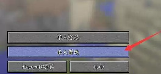 我的世界ip地址怎么输入