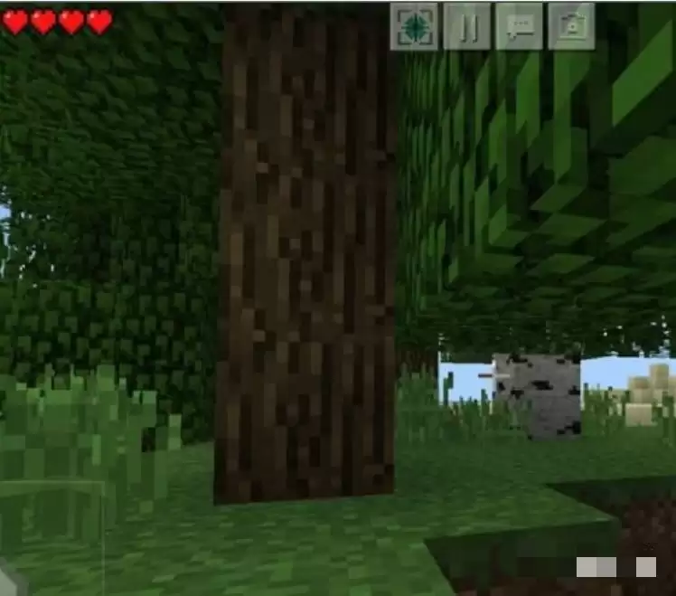 我的世界怎么传送位置坐标