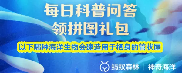 以下哪种海洋生物会建造用于栖身的管状屋
