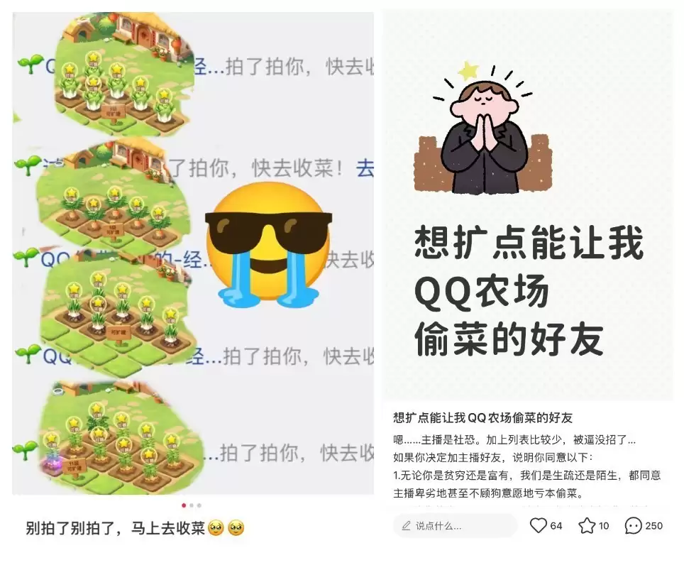 QQ农场回归,玩家为偷菜花式扩列好友