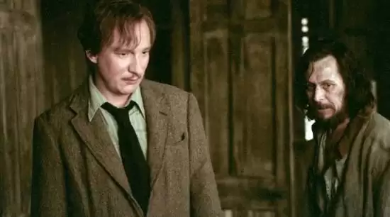 哈利·波特剧集2027年上线,休里斯拒演卢平,弗立维教授由原演员回归