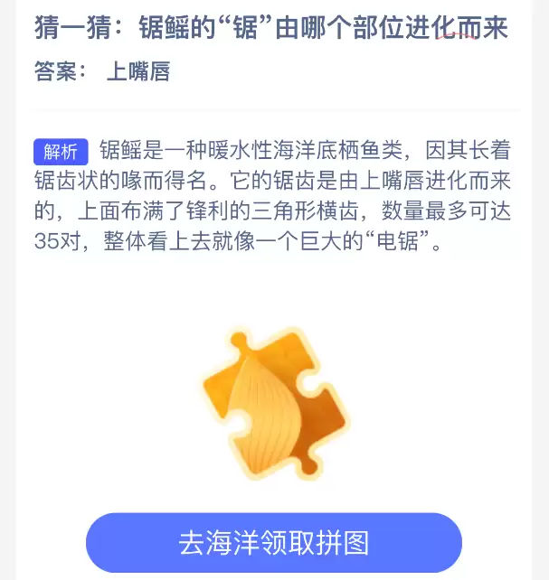 锟铻的“锟”由哪个部位进化而来