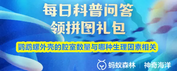 鹦鹉螺外壳的腔室数量与哪种生理因素相关