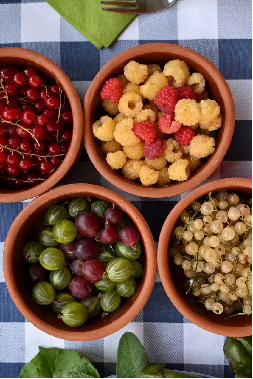 尼康光影绘团圆：让每一张笑脸，成为新年最美注脚