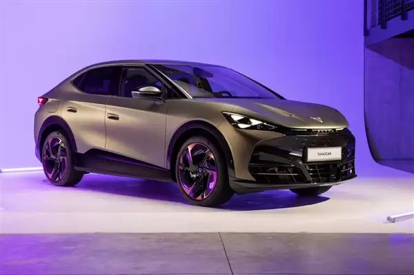 欧盟豁免一款中国产大众SUV关税 官方回应