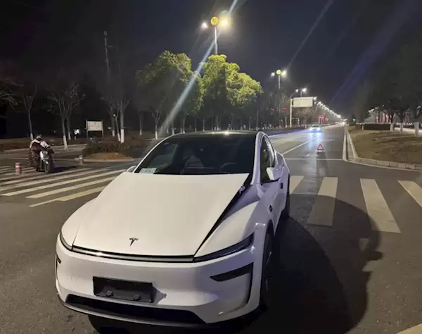 特斯拉Model Y提车不到5小时被狗“吓坏”！车主：修车花了1.7万