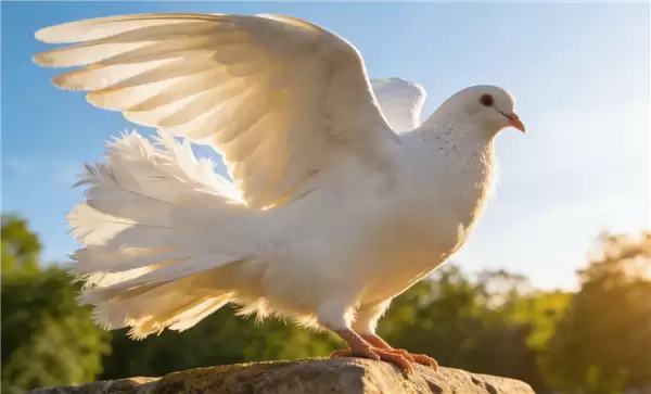 俄罗斯Neiry公司研发鸽脑神经接口,打造自主导向生物混合飞行平台