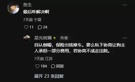 特斯拉Model Y提车不到5小时被狗“吓坏”！车主：修车花了1.7万