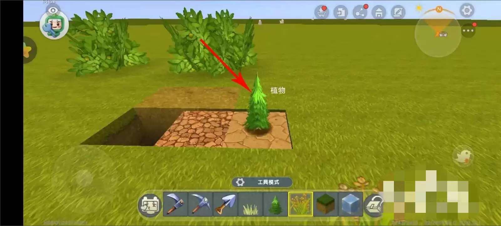 我的世界怎么种植植物?2026