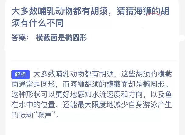 大多数哺乳动物都有胡须猜猜海狮的胡须有什么不同