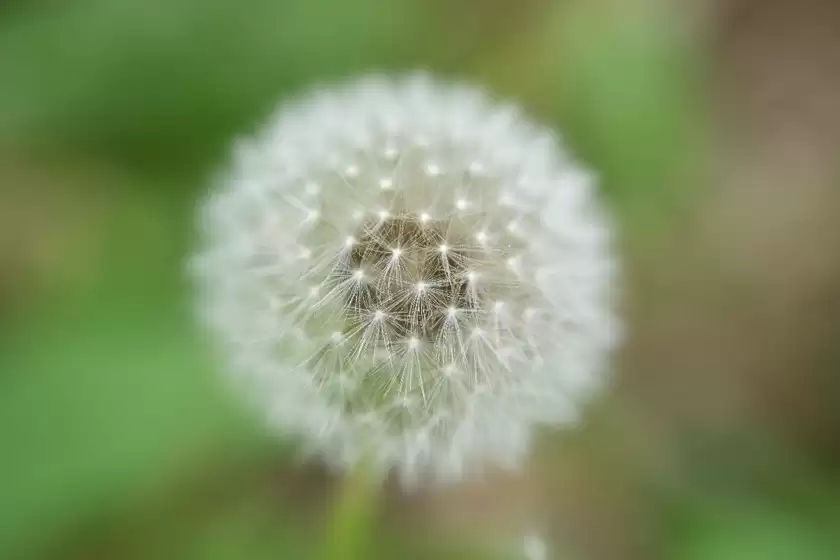 兼顾大光圈与轻量化的长焦变焦镜头 尼康 Z 70-180mm f/2.8今日开售 兼顾大光圈与轻量化的长焦变焦镜头 尼康 Z 70-180mm f/2.8今日开售