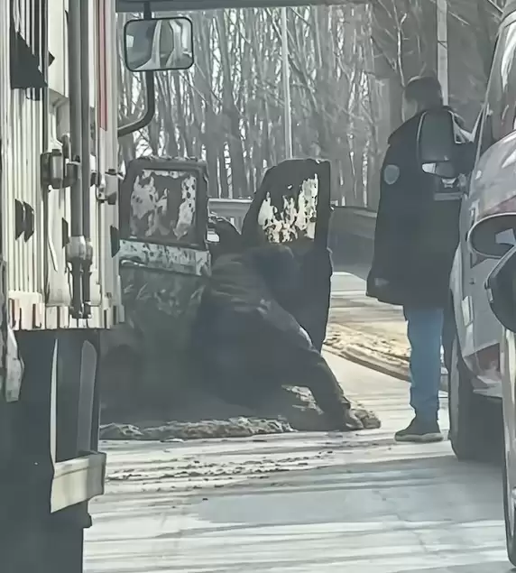 味道溢出屏幕 老头乐不守交规被拉粪车泼一车粪