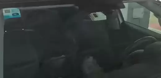 尴尬!男子驾车返乡竟被猫咪锁在车外:结局竟神反转