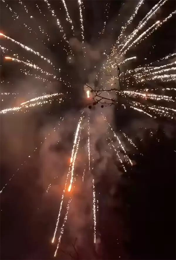 舞龙舞狮年味十足!法国万人村庄连续10年自费过春节