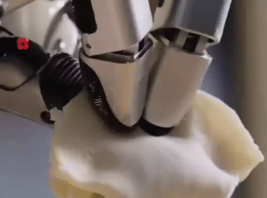 北京春晚机器人首秀包饺子：21自由度机械臂创指纹级精度