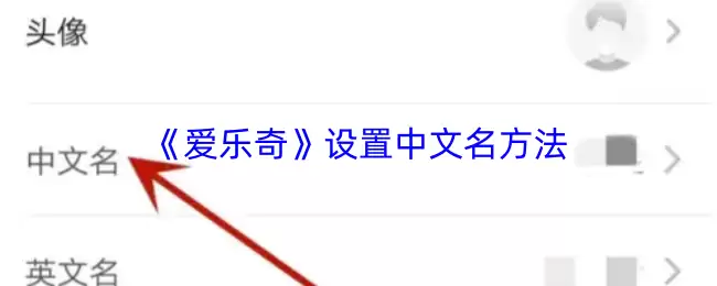 《爱乐奇》设置中文名方法
