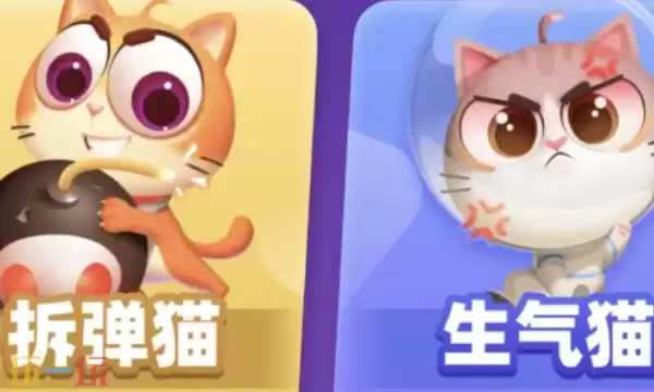 拆弹猫兑换码有哪些 拆弹猫最新礼包码合集