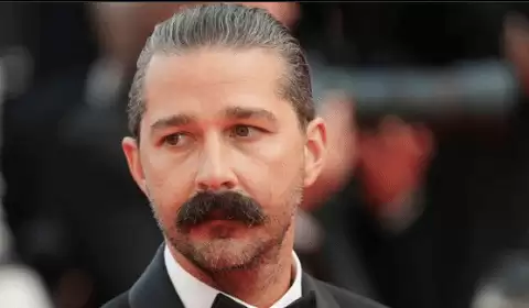 变形金刚男主被打原因:骂一屋子