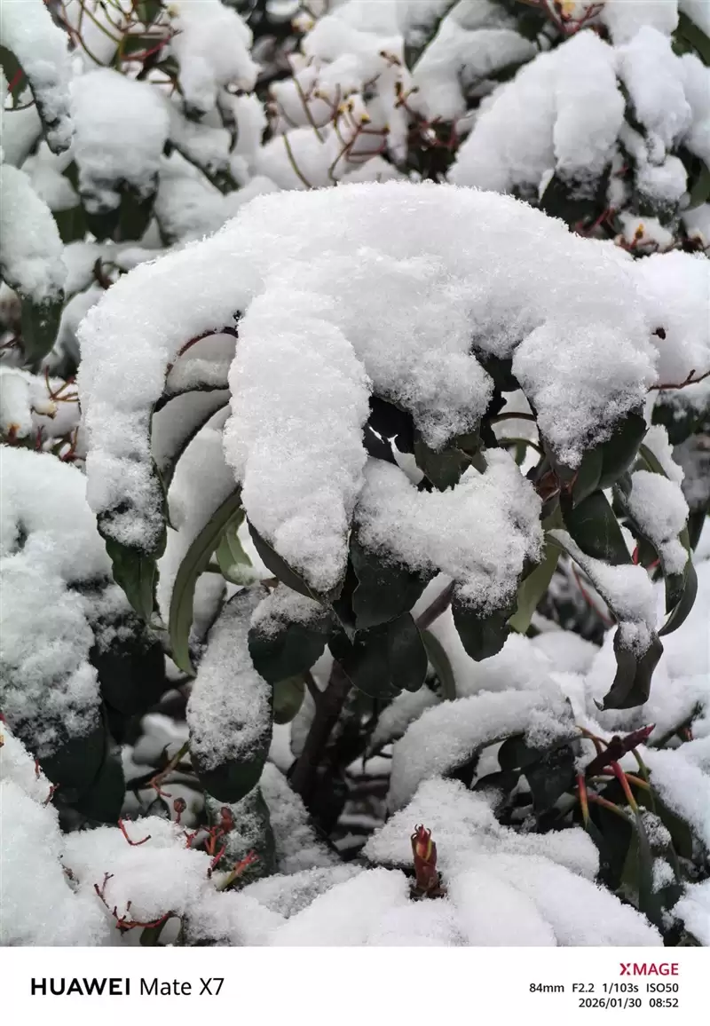 左手 AI右手大屏!华为Mate X7典藏版体验评测:鸿蒙OS 6.0加持 不仅是折叠更是掌上工作站