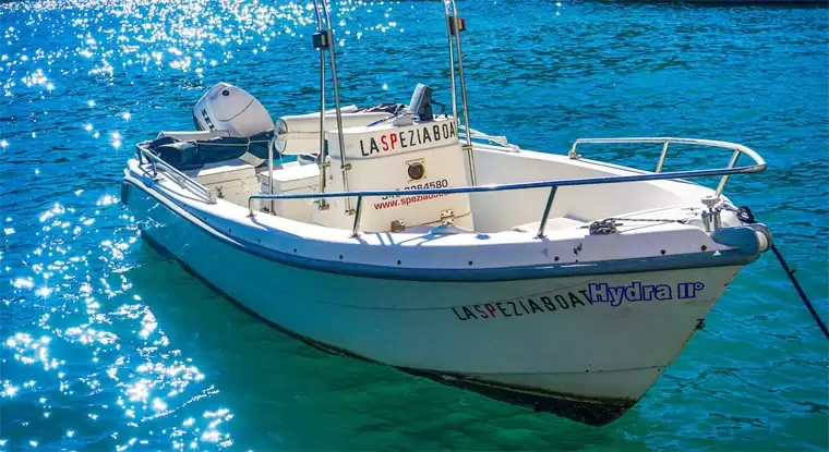 刘强东放话:希望造出售价10万元游艇,像汽车一样,让普通家庭也能用得起