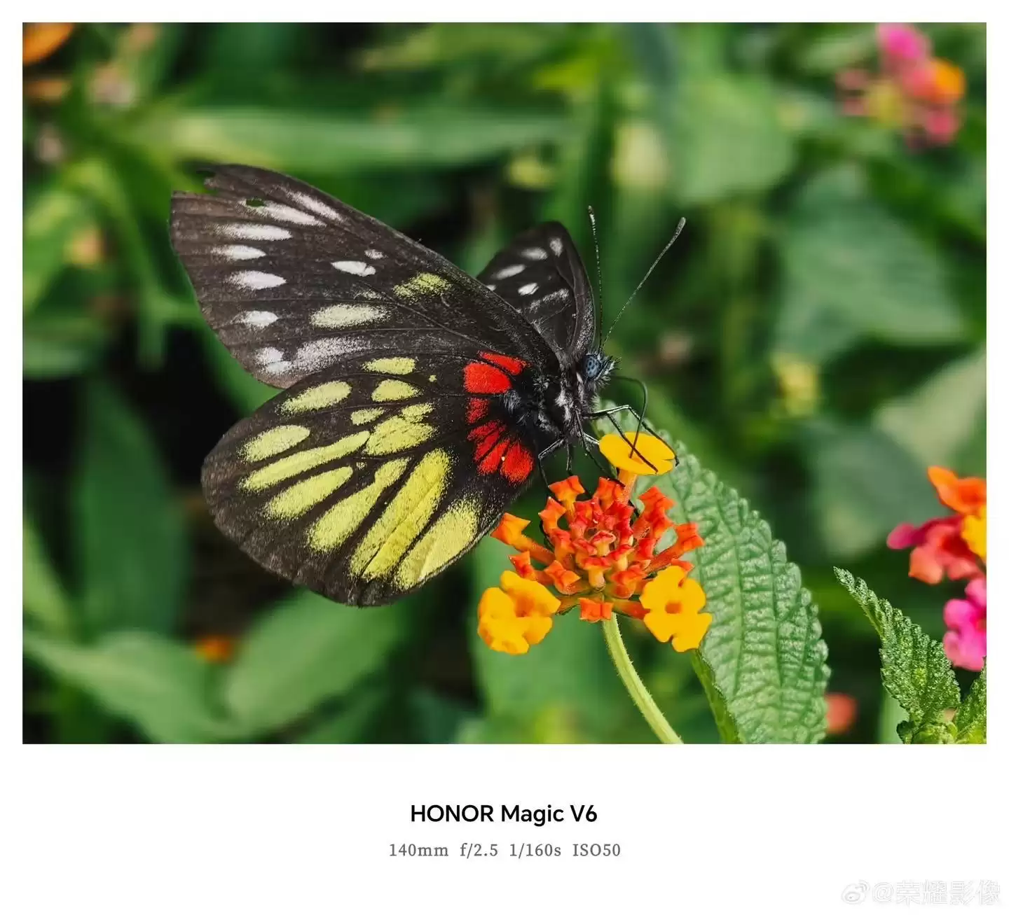 荣耀Magic V6折叠屏新机拍摄样张公布，AiMAGE影像加持