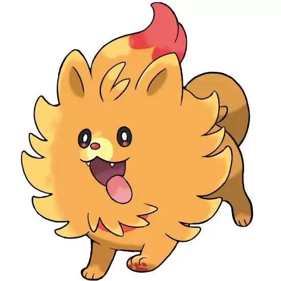 宝可梦：风／波正式公布，2027年全球发售，三款新御三家与交响主题曲亮相