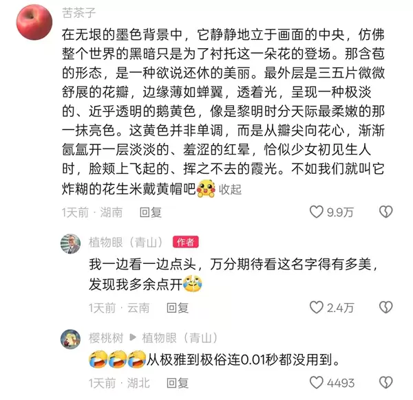 专家委托给新品种兜兰征名 “炸糊的花生米戴黄帽”高居第一