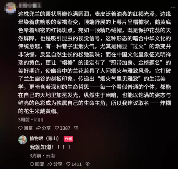 专家委托给新品种兜兰征名 “炸糊的花生米戴黄帽”高居第一