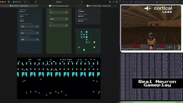 澳大利亚公司打造人类活体神经元计算机，可运行《毁灭战士》