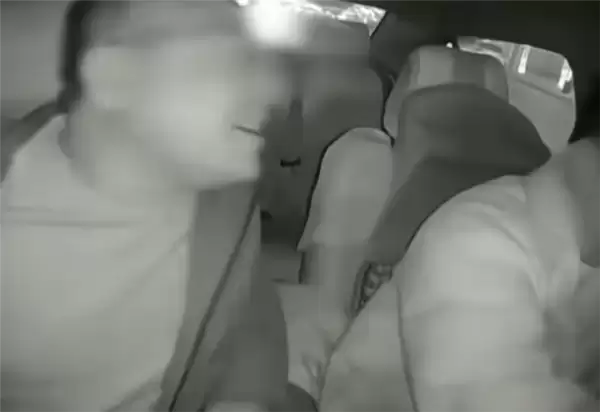 酒后闹事!甘肃一男子抢夺方向盘致出租车撞树:跳车逃跑后被控制