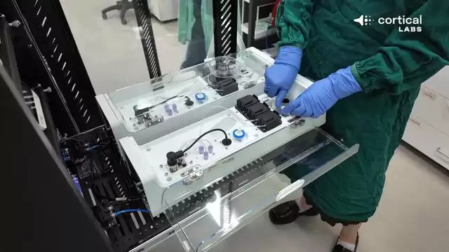 澳大利亚公司打造人类活体神经元计算机，可运行《毁灭战士》