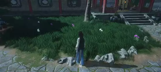 《燕云十六声》皇宫采集玉楼春及魏紫攻略